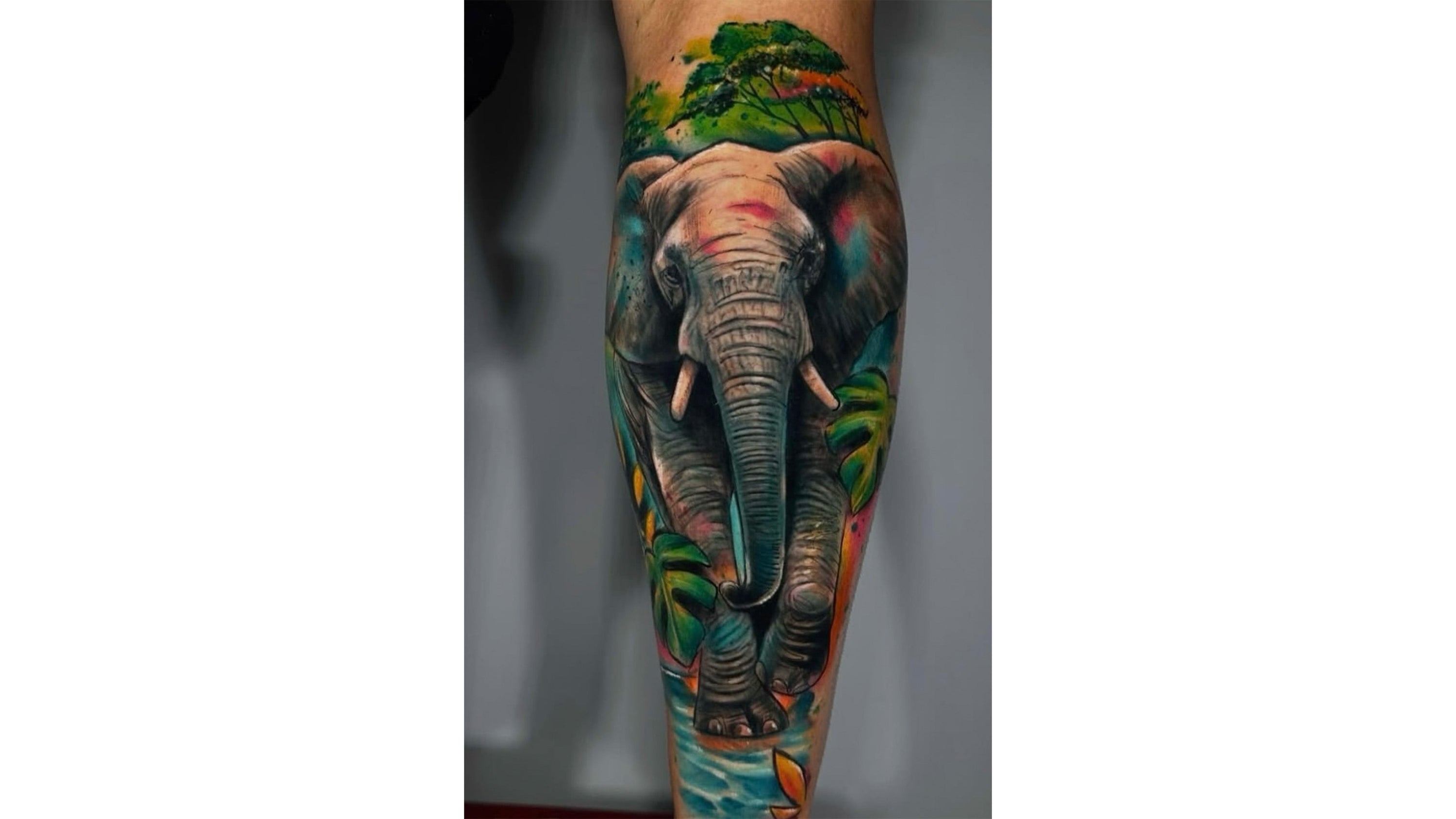 elephant tattoo