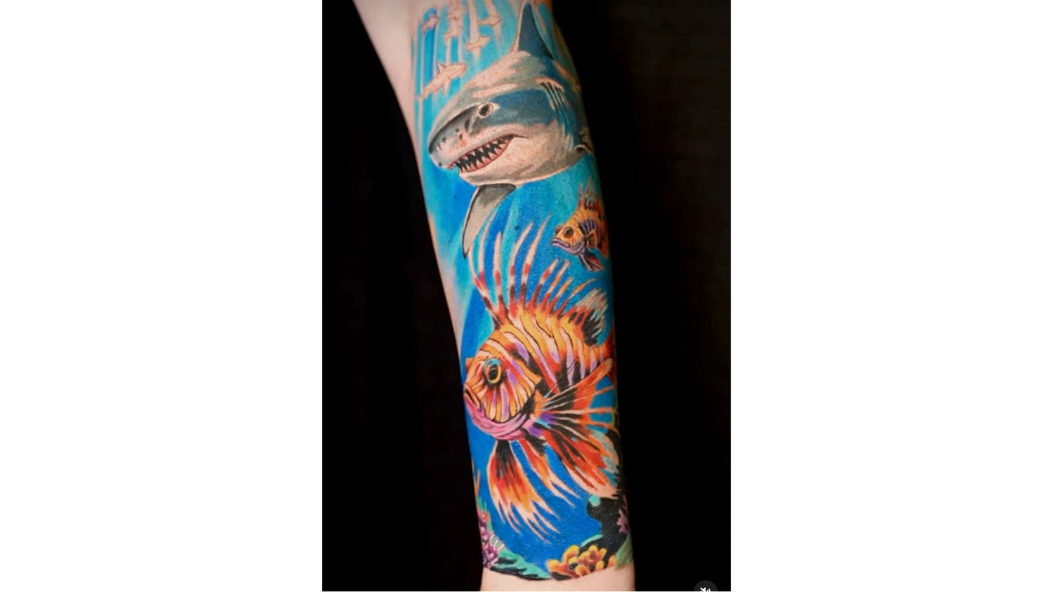 shark tattoo ocean fish color