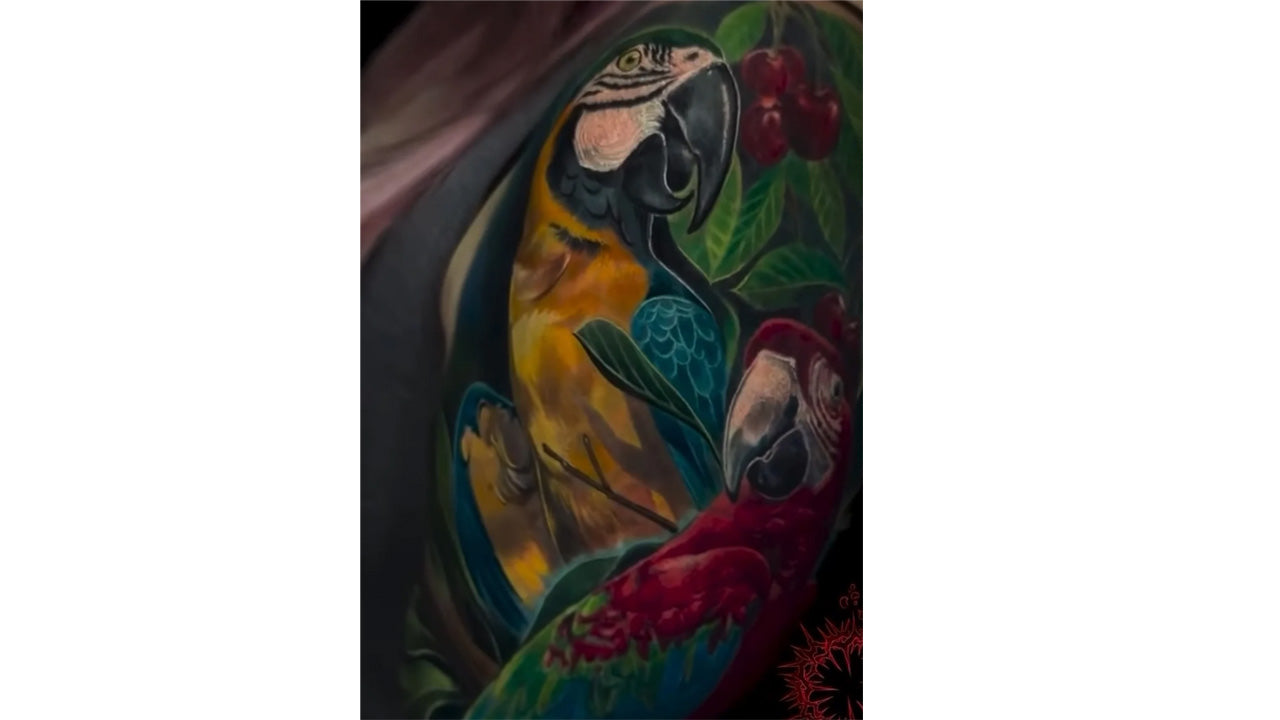 The Fascination of Bird Tattoos: A Symbol of Freedom, Beauty, and Strength